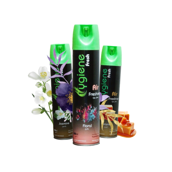 Hygiene Fresh 300 ml Floral Can