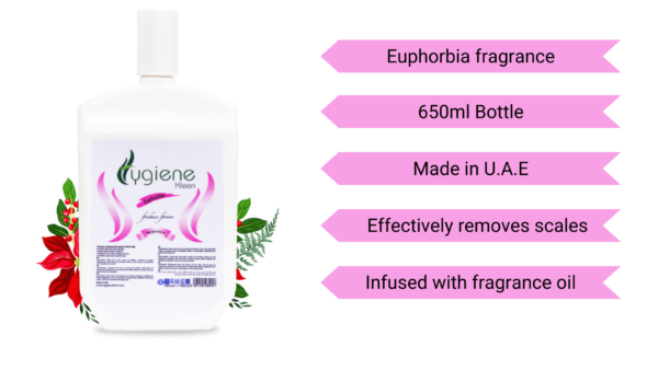 Auto Sanitizer 610 ml Refill with Euphorbia fragrance